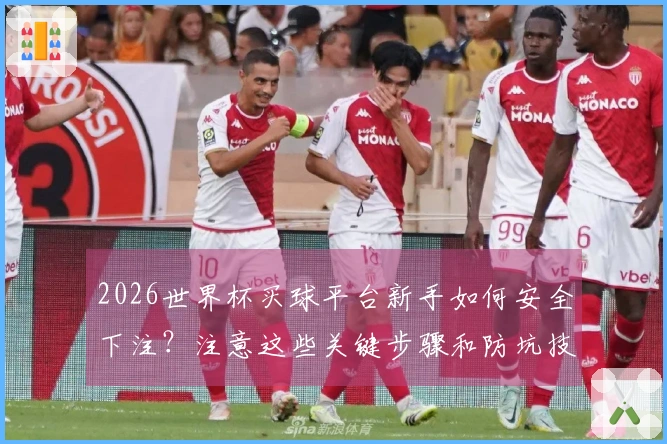 2026世界杯买球平台新手如何安全下注？注意这些关键步骤和防坑技巧